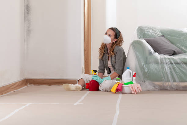 Reliable Attic Mold Removal contractor in Woodinville, WA by WQB Mold Removal